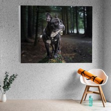 Deko Gonya French Bulldog Temalı Dekoratif Kanvas Tablo