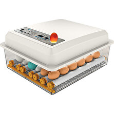 Efe Kuluçka Makineleri Kaz Yumurtası Uyumlu Kuluçka Makinesi
