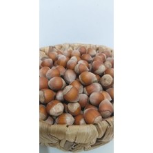 Ordu Kuruyemiş Fındık 1 kg