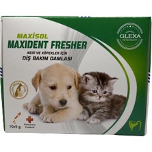 Glexa Maxisol Maxident Fresher Kedi ve Köpekler Için Diş Bakım Damlası