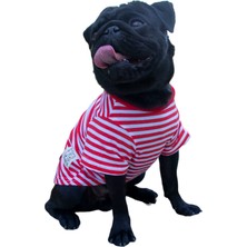 Ol And Lui Red Stripes Köpek Tişörtü