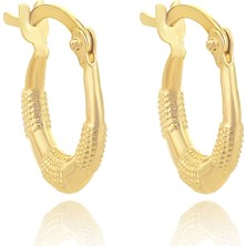 Prenses Pırlanta Kadın 14 Ayar Altın Desenli Halka Küpe