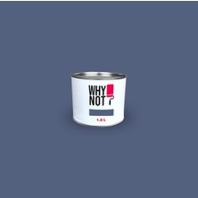 Whynot? Duvar Boyası Orion  1.5 Lt