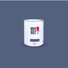 Whynot? Duvar Boyası Orion  2.5 Lt