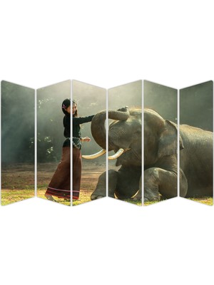 Renkselart Fil Mdf TABLO-2443 Model-B