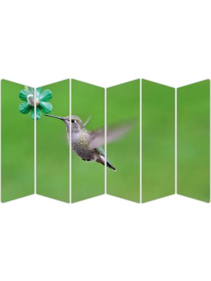 Renkselart Kuş Mdf TABLO-2696 Model-B