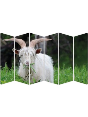 Renkselart Keçi Mdf TABLO-2625 Model-B