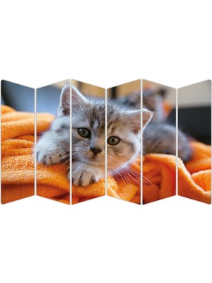 Renkselart Kedi Mdf TABLO-2557 Model-B