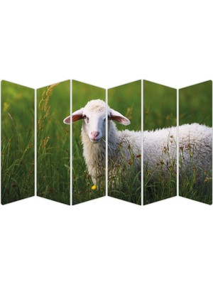 Renkselart Koyun Mdf TABLO-2635 Model-B