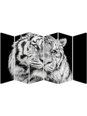 Renkselart Beyaz Kaplan Mdf TABLO-2481 Model-B