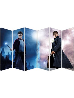 Renkselart Harry Potter Mdf TABLO-2991 Model-B