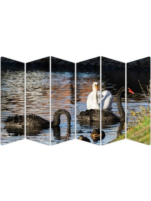 Renkselart Ördek Mdf TABLO-2708 Model-B