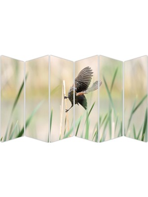 Renkselart Kuş Mdf TABLO-2719 Model-B