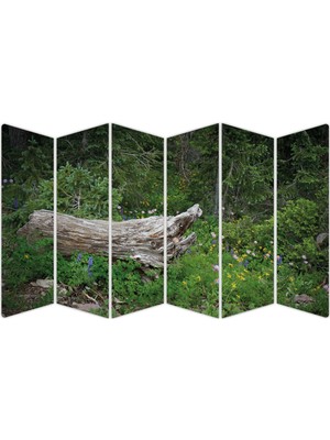 Renkselart Doğa Manzara Mdf TABLO-3395 Model-B