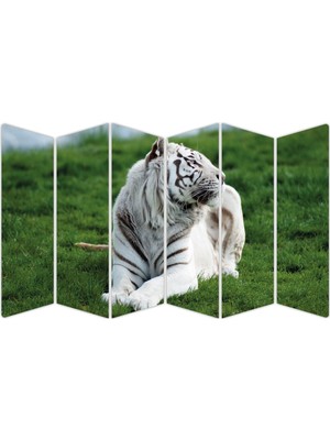 Renkselart Beyaz Kaplan Mdf TABLO-2486 Model-B