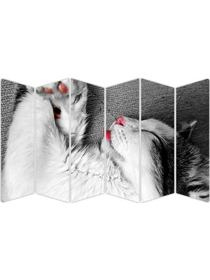 Renkselart Kedi Mdf TABLO-2552 Model-B