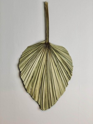 Hidden Botanics Doğal Kuru Palmiye Yaprağı Palm 1 Adet