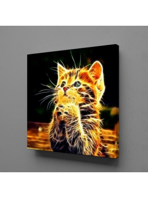 Technopa Işıltılı Kedi 30X30CM