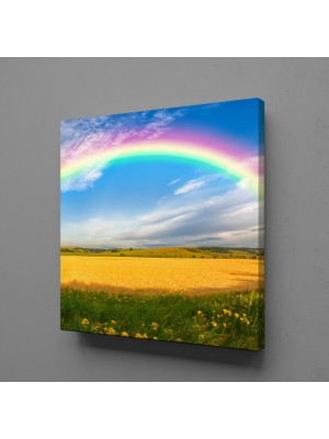 Technopa Gökkuşağı 30X30CM