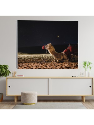 Deko Gonya Deve Galaxy Temalı Dekoratif Kanvas Tablo