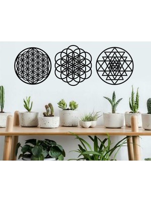 Şirin Lazer Yaşam Çiçeği Sri Yantra ve Torus Ahşap Mdf Duvar Dekoru Tablo 3'lü Set