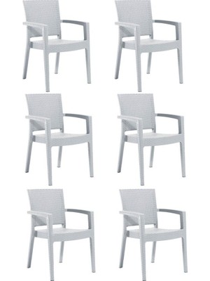 Novussi 6 Adet Novussi Paris Rattan Kollu Sandalye Koltuk Beyaz