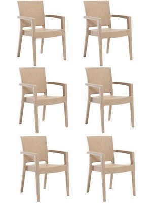 Novussi 6 Adet Novussi Paris Rattan Kollu Sandalye Koltuk Kapiçino
