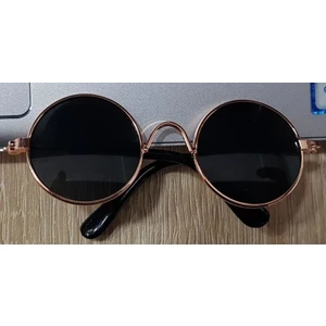 Kedi & Köpek Gözlük