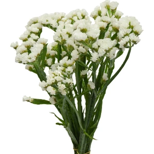 Hidden Botanics Kuru Çiçek Statis Demeti Beyaz