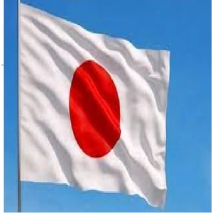 Buket Bayrak Japonya Bayrağı 50 x 75 cm