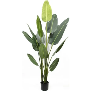 Yapay Ağaç Muz Ağacı Salon Bitkisi 200CM 21YAPRAK