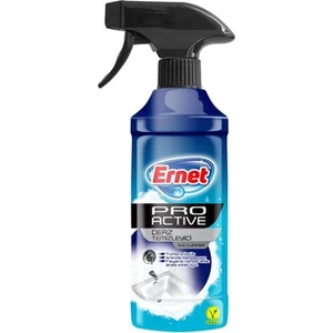 Pro Active Derz Temizleyici 435 ml