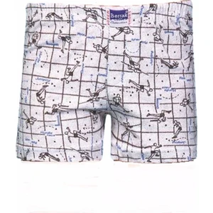 Erkek Çocuk Penye Desenli Boxer 3 ADET-1554