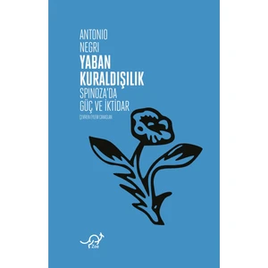 Yaban Kuraldışılık - Spinoza’da Güç ve Iktidar - Antonio Negri
