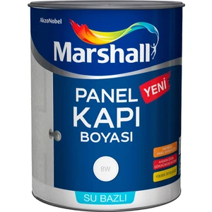 Panel Kapı Boyası 1l Beyaz