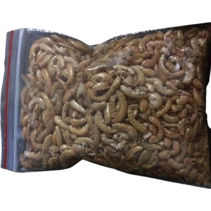 Ahm Kurutulmuş Karides Balık Yemi 1 Paket -10 gr