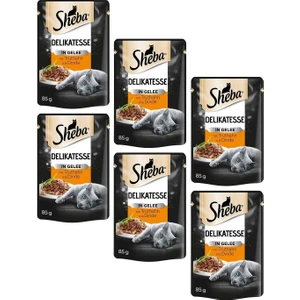 Pouch Hindili Yetişkin Kedi Konservesi 85 gr (6 Adet)