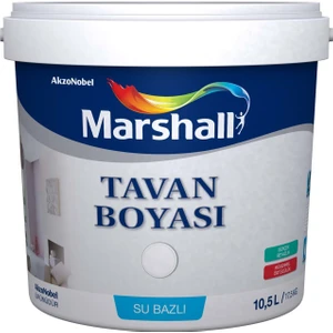 Tavan Boyası 2.10L