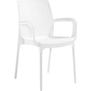 6 Adet Novussi Sunset Rattan Kollu Sandalye Koltuk Beyaz