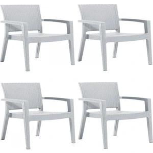 4 Adet Novussi Paris Rattan Kollu Sandalye Koltuk Beyaz