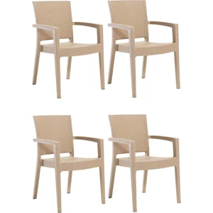 4 Adet Novussi Paris Rattan Kollu Sandalye Koltuk Kapiçino