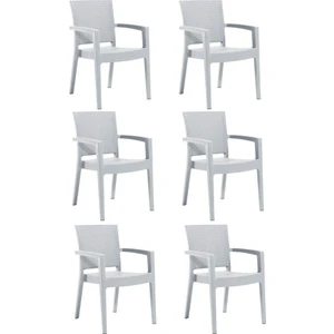 6 Adet Novussi Paris Rattan Kollu Sandalye Koltuk Beyaz