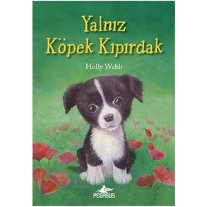 Yalnız Köpek Kıpırdak - Holly Webb