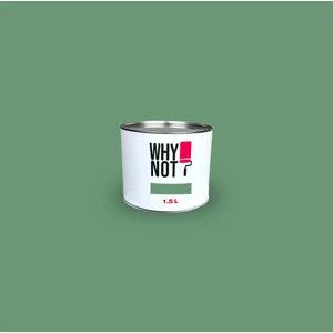 Whynot? Duvar Boyası Green Energy  1.5 Lt