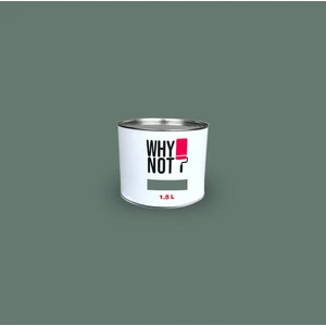 Whynot? Duvar Boyası Focus On  2.5 Lt