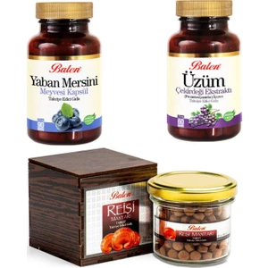 Üzüm Çekirdeği+Yaban Mersini+Reishi Mantarı (Ganoderma)