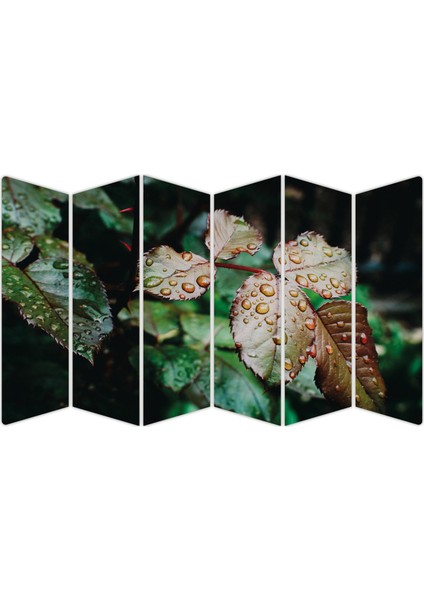 Su Damlası Yapraklar Mdf TABLO-0722 Model-B