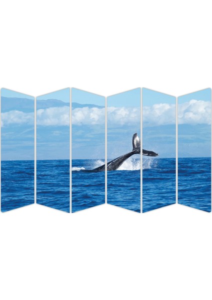 Balina Mdf TABLO-1696 Model-B