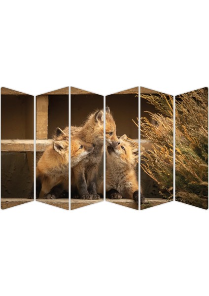 Tilki Mdf TABLO-2733 Model-B