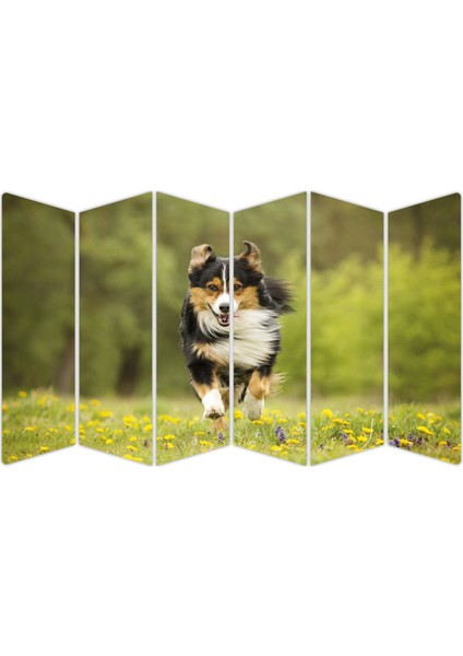 Köpek Mdf TABLO-2641 Model-B